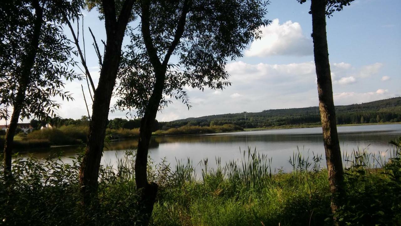 Ferienwohnung In Der Vulkaneifel Ulmen ภายนอก รูปภาพ
