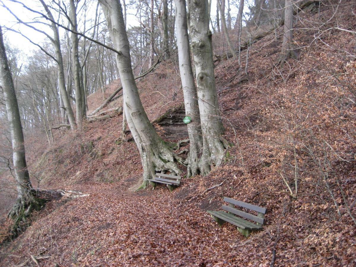 Ferienwohnung In Der Vulkaneifel Ulmen ภายนอก รูปภาพ